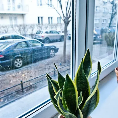 Apartment Asfaltowa